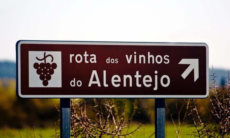 vinhos